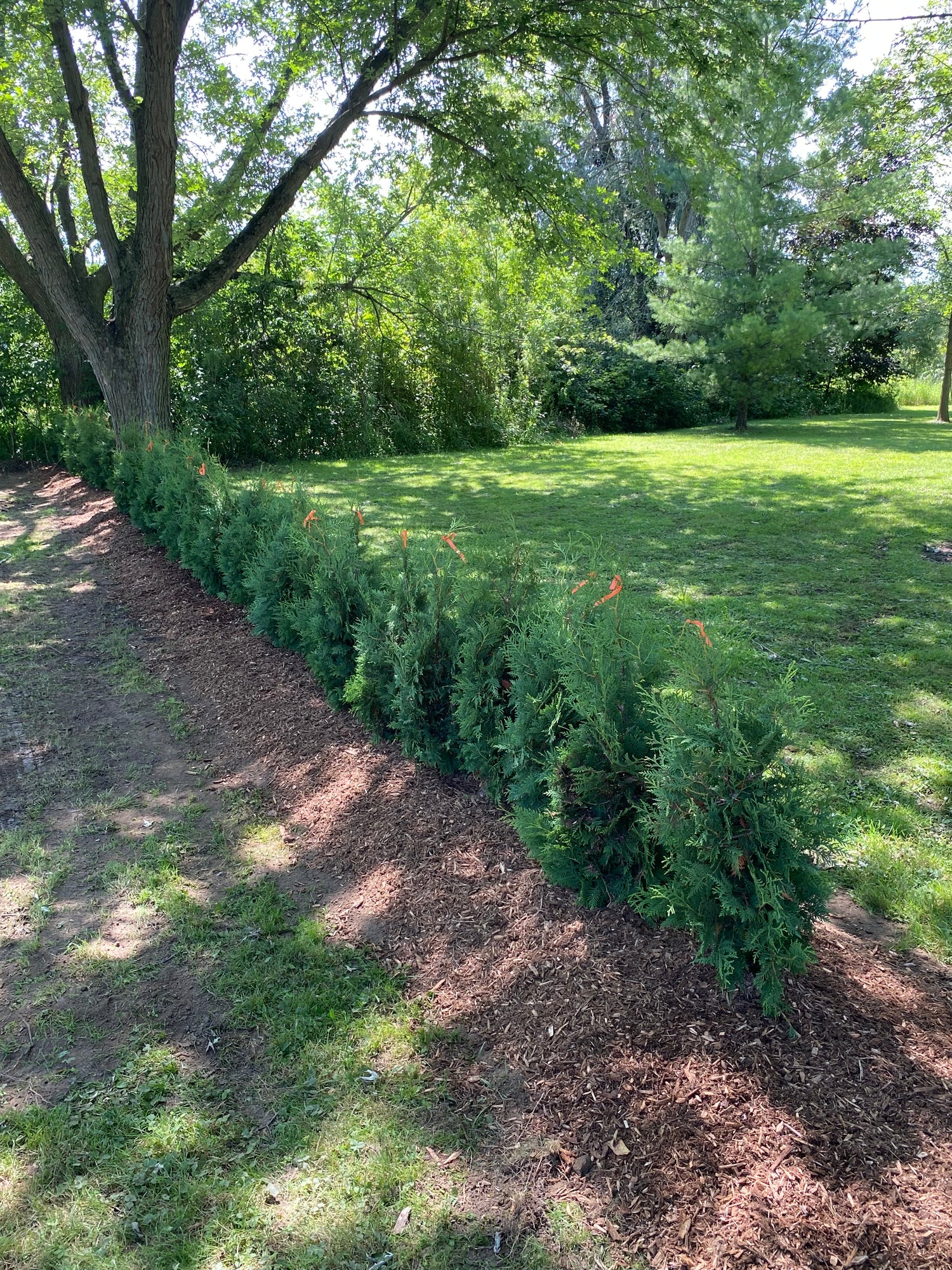 Property Maintenance