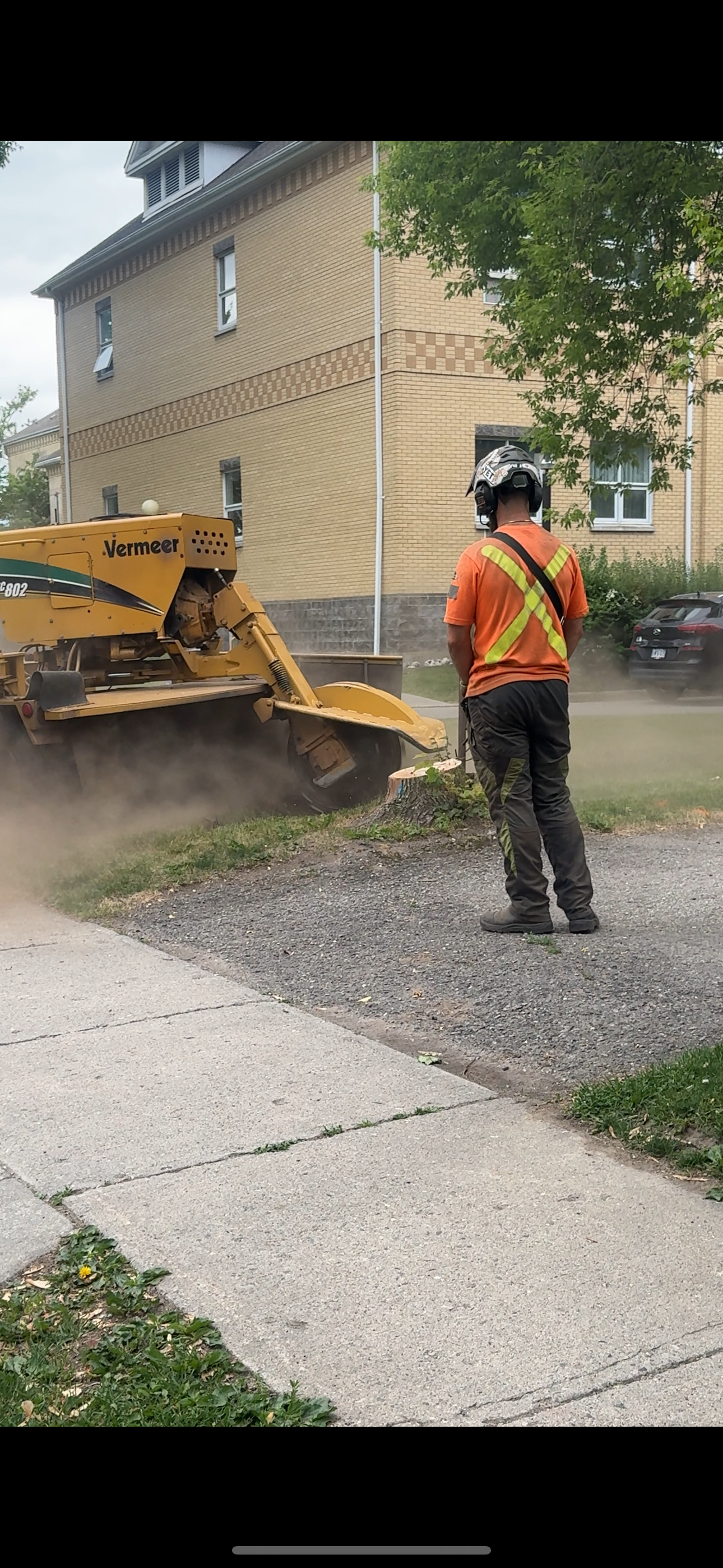 Stump Removal & Clean Up
