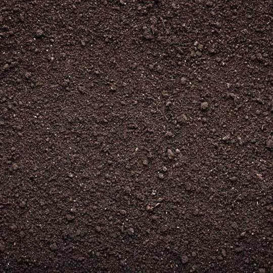 Soils